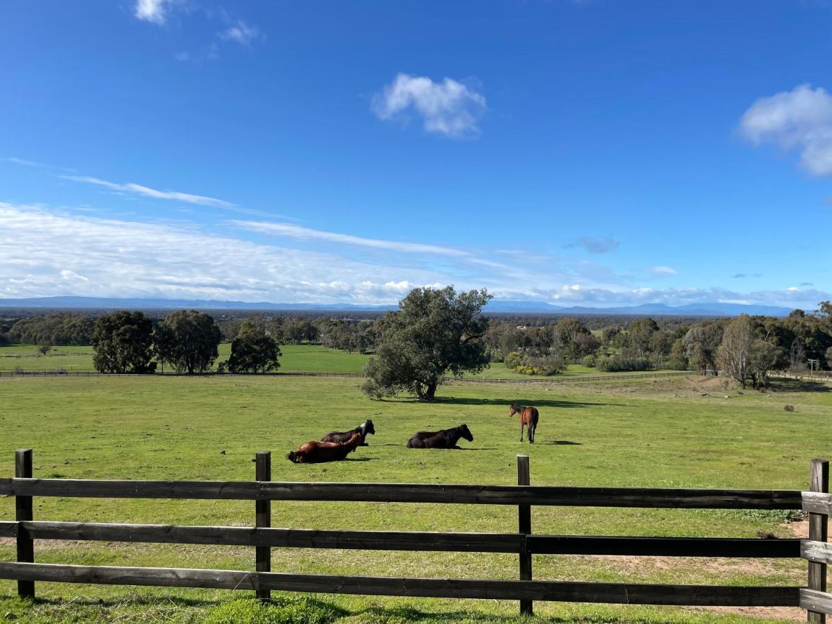 Warby Cottage Wangaratta Eksteriør bilde